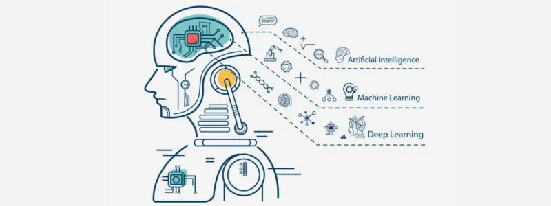 AI Algorithms