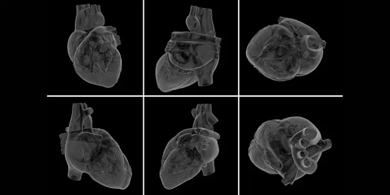 Clear Heart Images With Ai Heart Images With AI